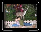 IMG_0238 * 2048 x 1536 * (1.21MB)